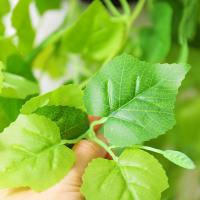 uploads/erp/collection/images/Home Garden/CongDing/XU0611043/img_b/XU0611043_img_b_2